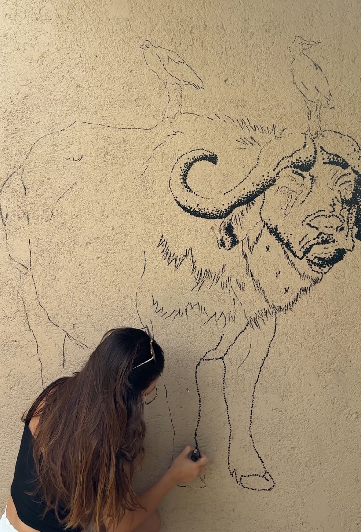 Un Buffle en Afrique