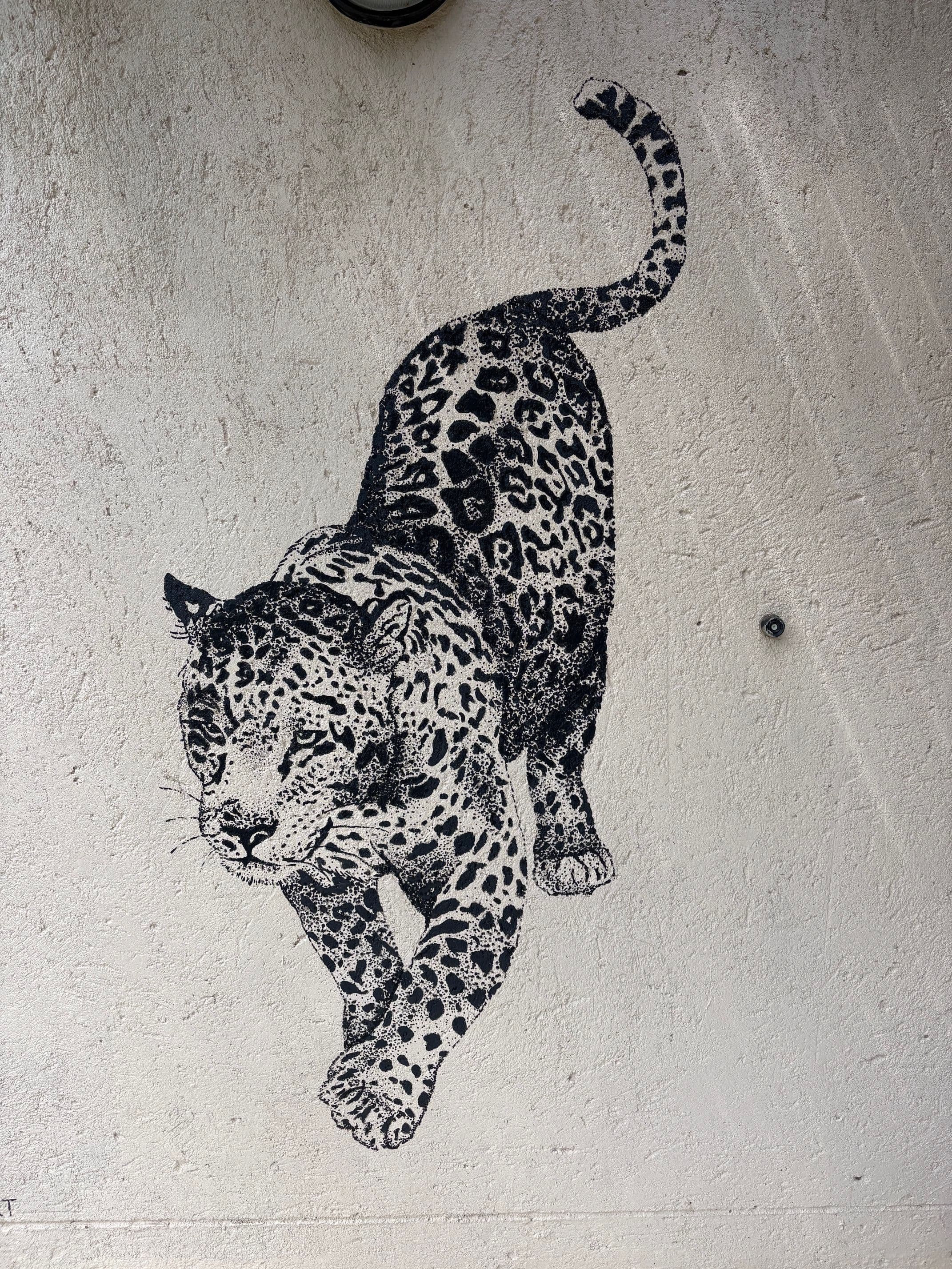 Projet Afrique du Sud