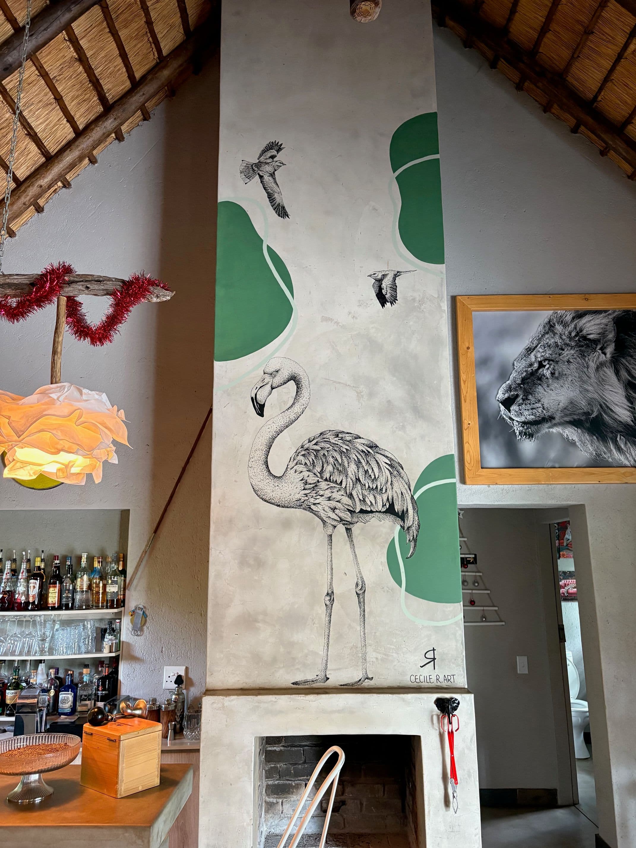 Projet Afrique du Sud - 8