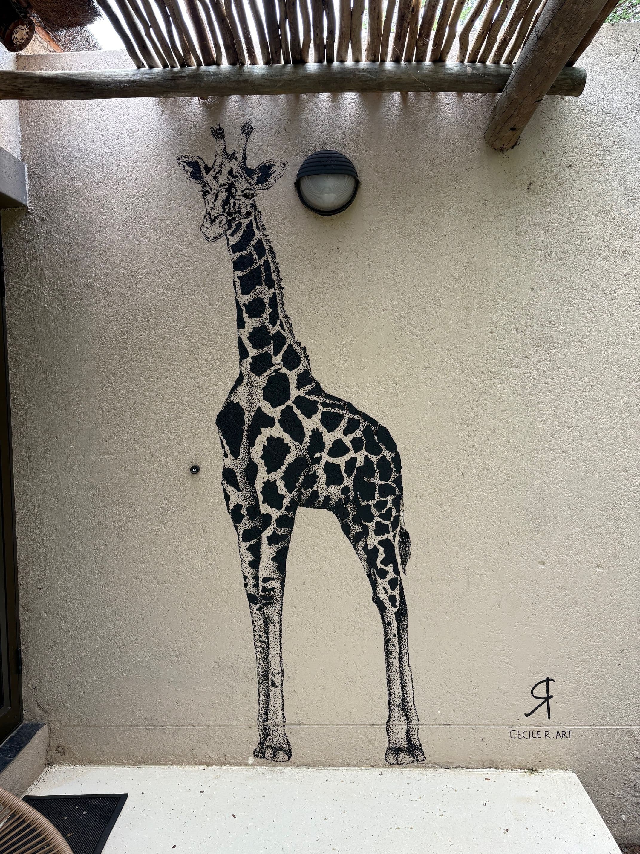 Projet Afrique du Sud - 7