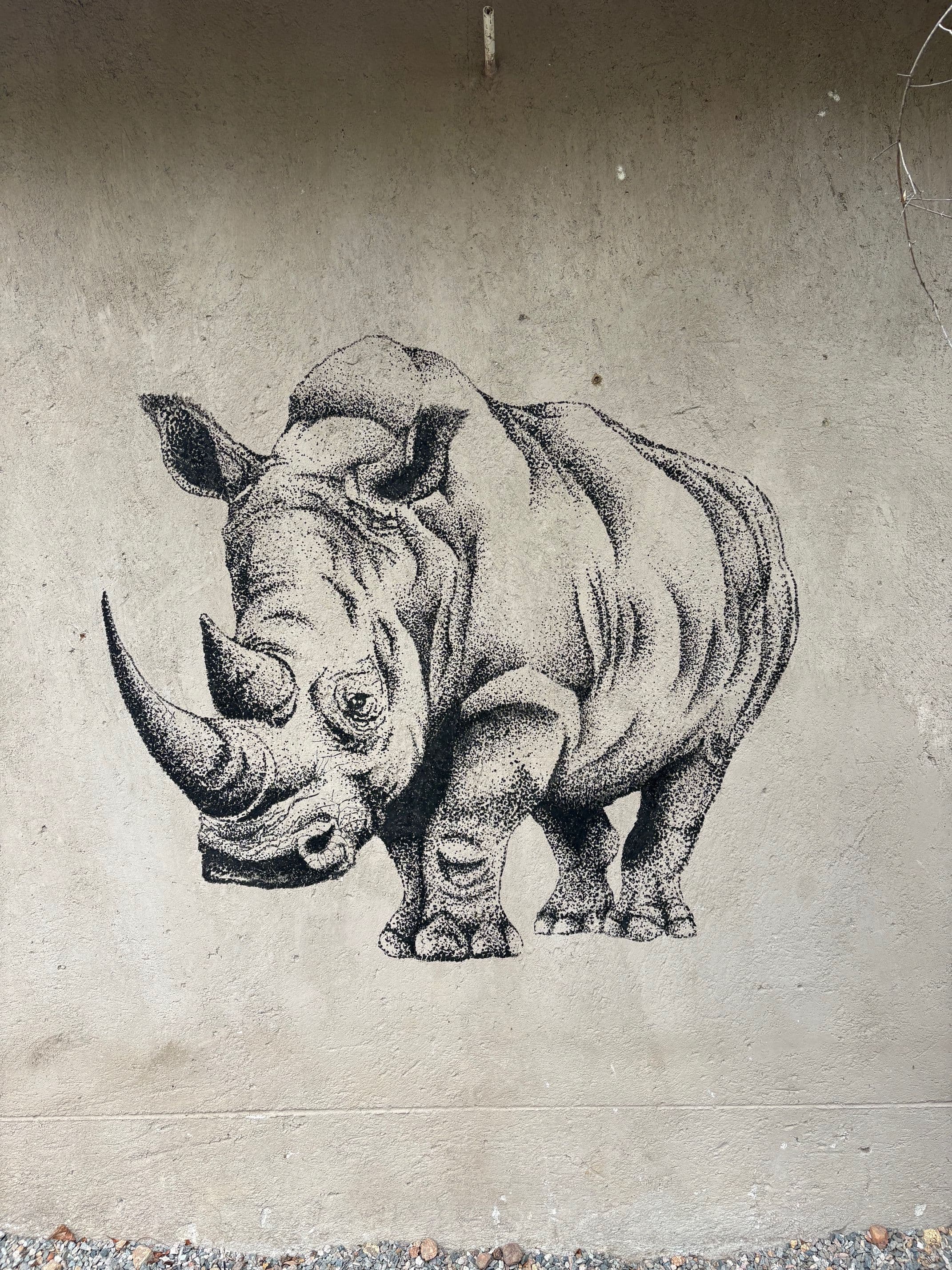 Projet Afrique du Sud - 5